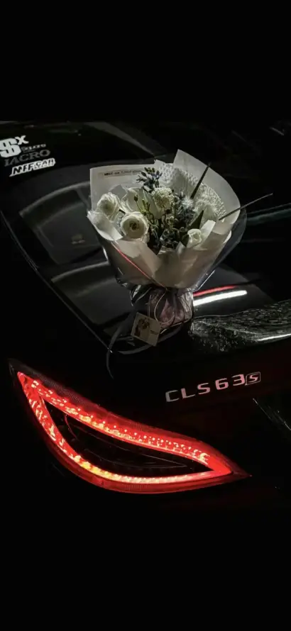 4k夜间壁纸 - 奔驰 - 尾灯 - 紫花「哲风壁纸」