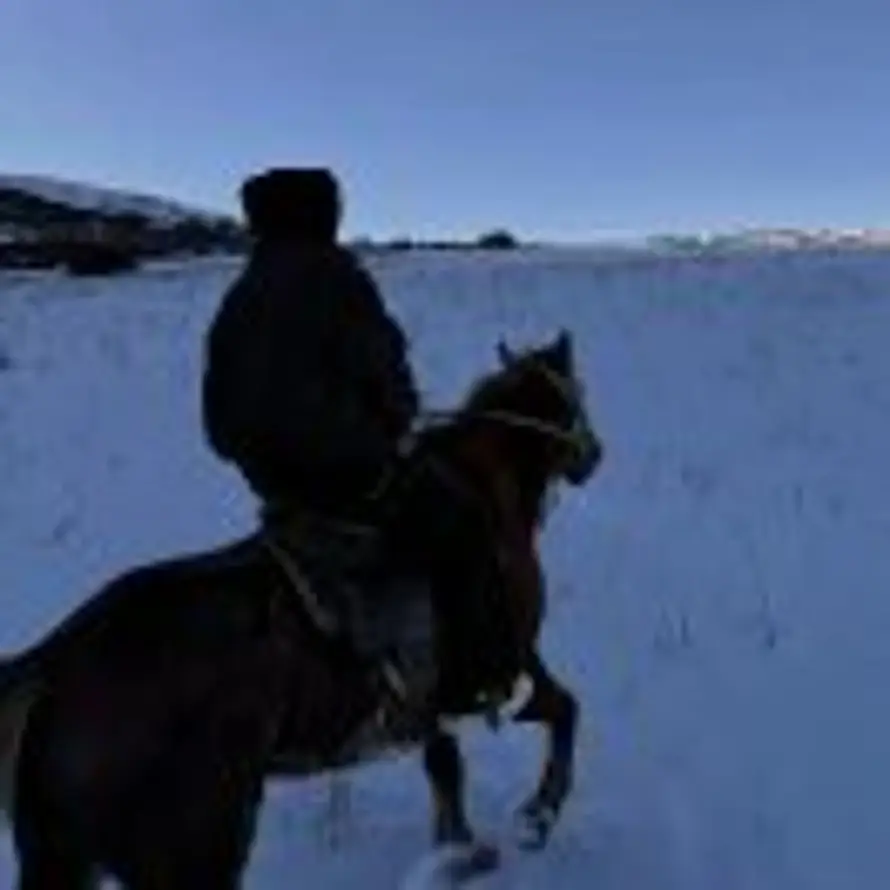 不爱说李先生的头像