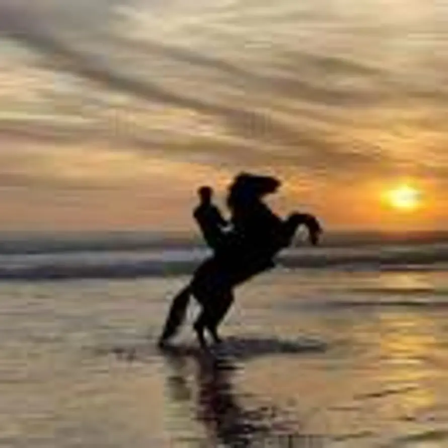 花好月圆人更圆的头像