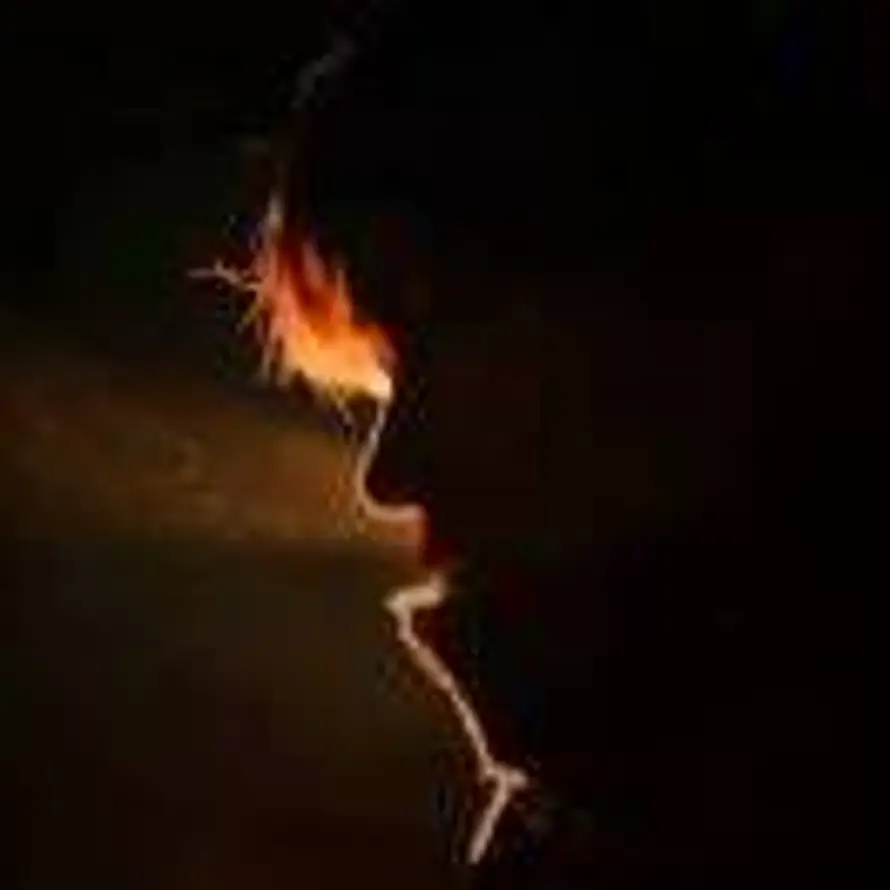 向人间撒满月光的头像