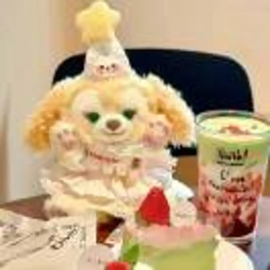 누구니니🐻的头像