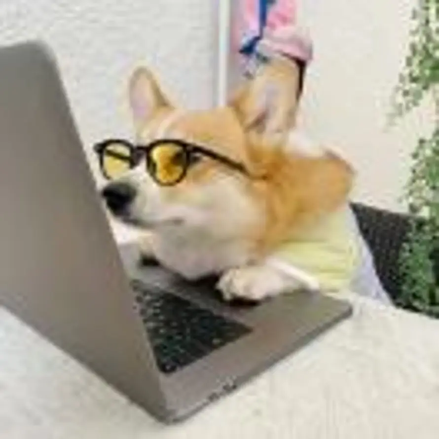 心无旁骛的头像