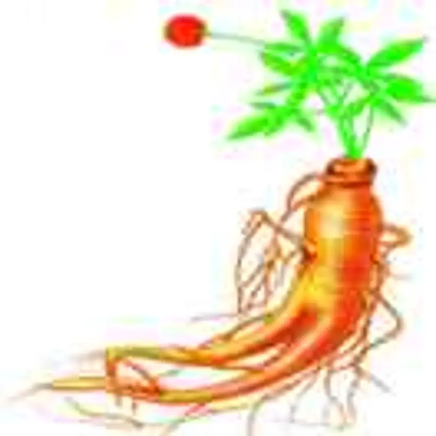 地黄人参的头像