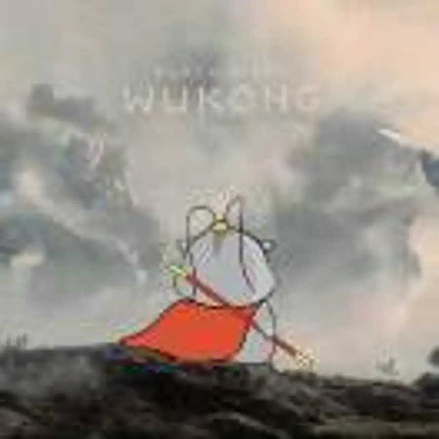 没有理想的人不伤心的头像