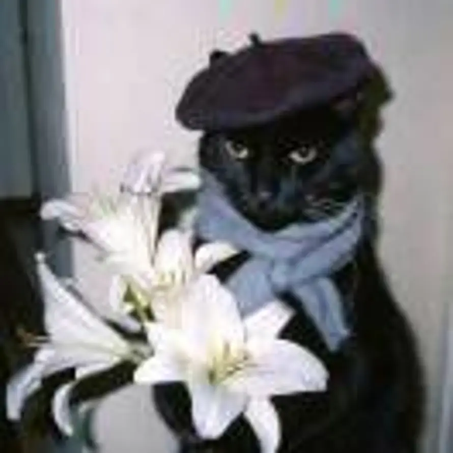 乌里扬诺夫的头像