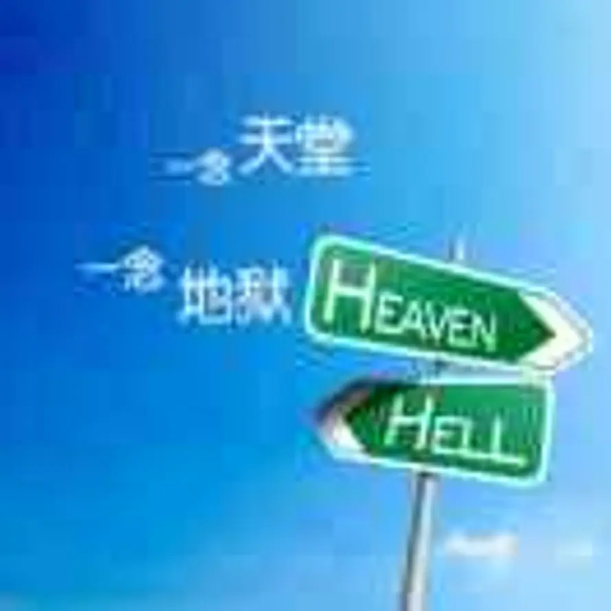 飞翔的月光的头像