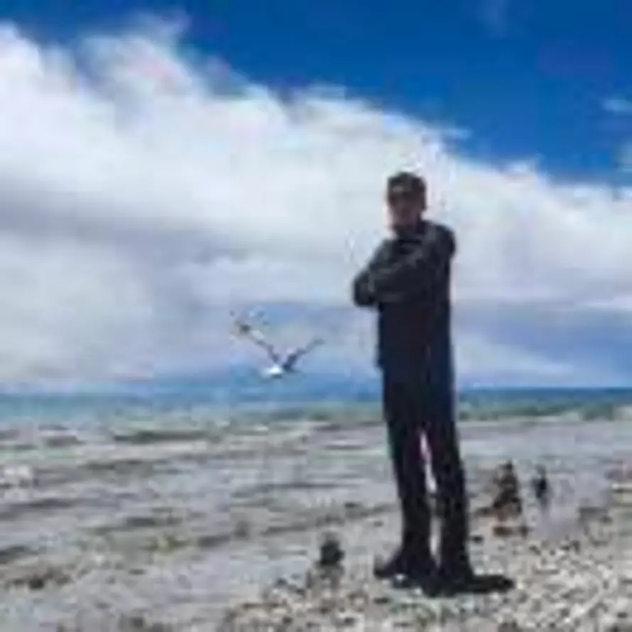 安静就好的头像