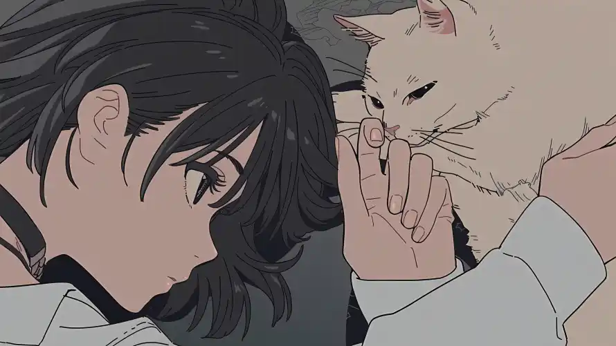 4k互动壁纸 - 亲昵 - 可爱 - 小猫「哲风壁纸」 4k互动壁纸 - 亲昵 - 可爱 - 小猫「哲风壁纸」