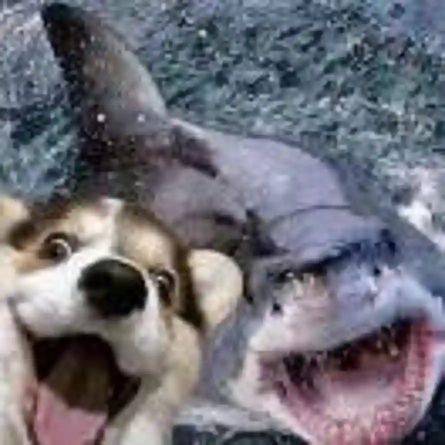 神说要有光的头像