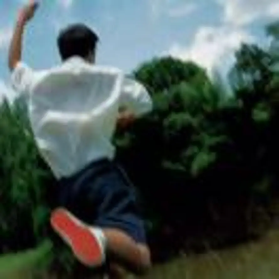 夏日追风的头像