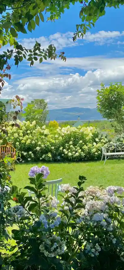 4k山脉壁纸 - 庭院 - 树木 - 白云「哲风壁纸」