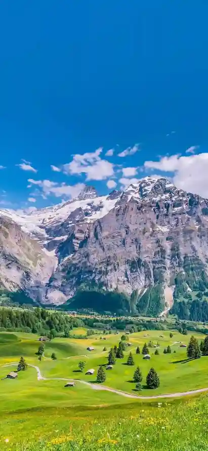 4k山脉壁纸 - 山谷 - 户外 - 森林「哲风壁纸」