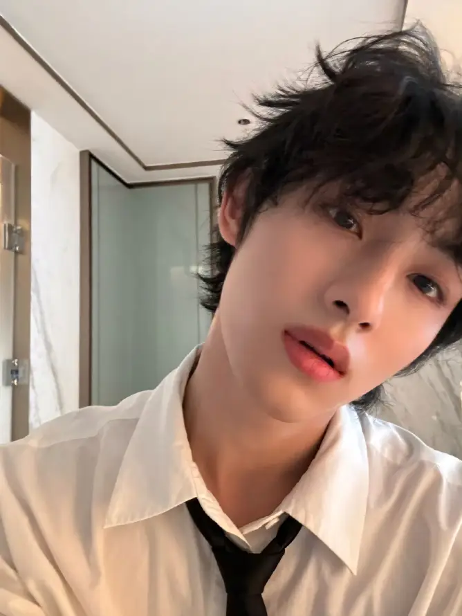 4k白衬衫壁纸 - 董思成 - 黑领带 - 凌乱卷发「哲风壁纸」