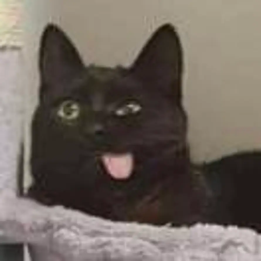 零号触发型npc的头像