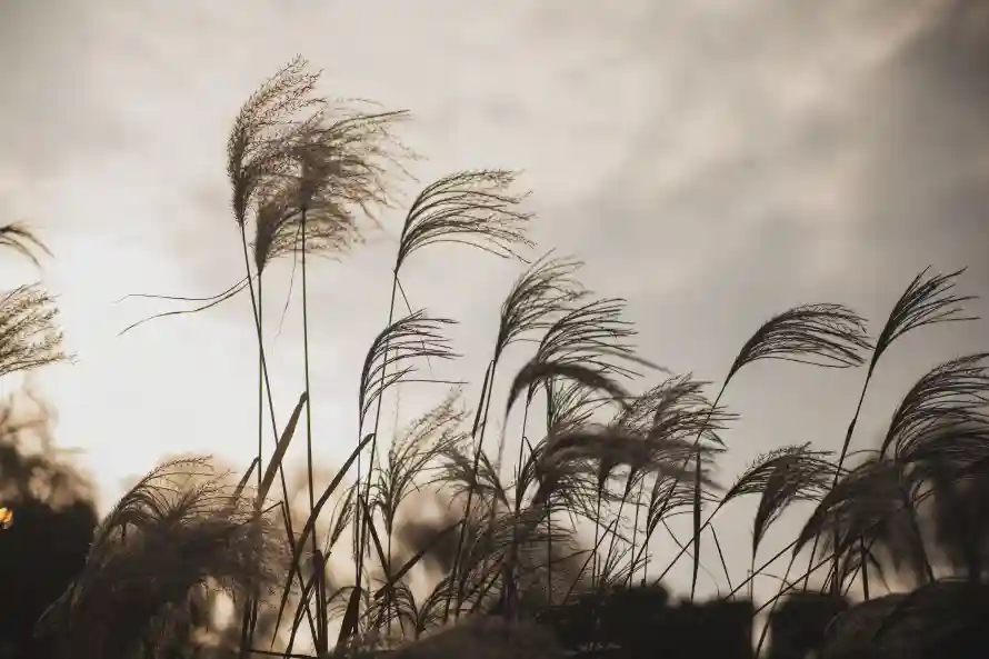 6k光影壁纸-氛围感与风景-热门的壁纸「哲风壁纸」