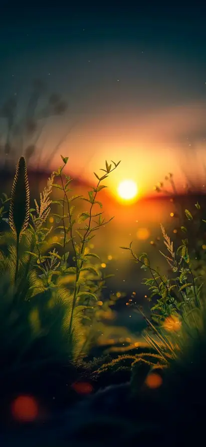 4k光斑壁纸 - 壁纸 - 夕阳 - 户外「哲风壁纸」