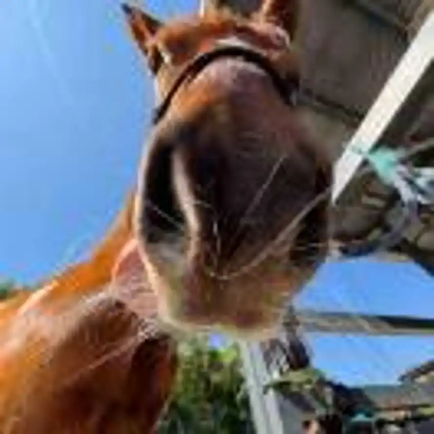 不喝冷饮的头像