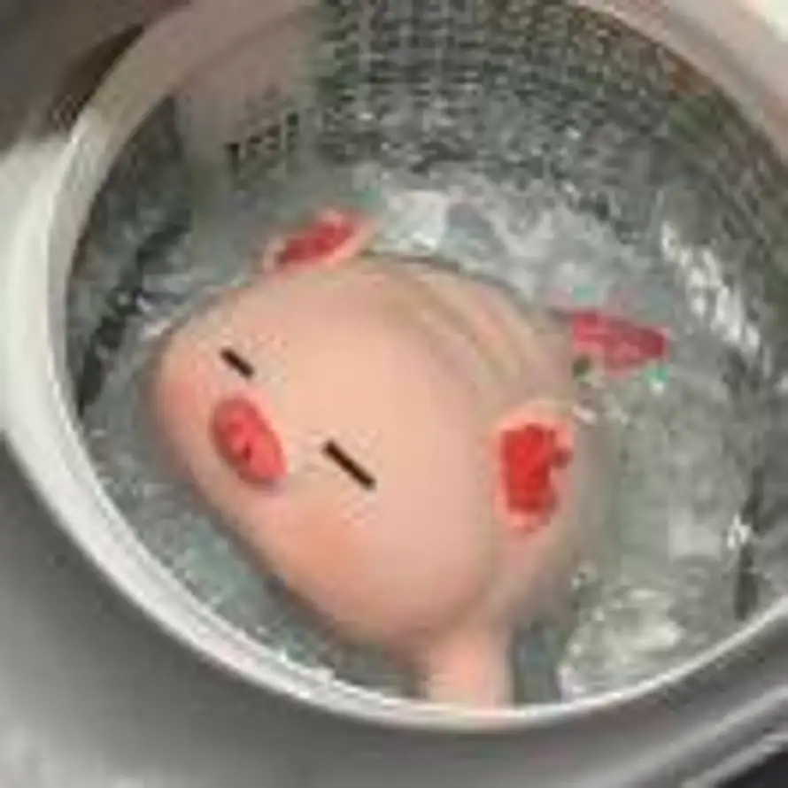 冒油的猪里脊的头像