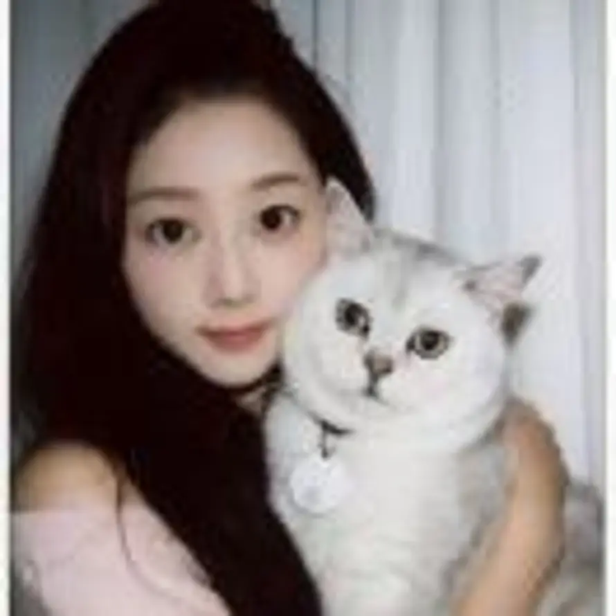 知心君君的头像