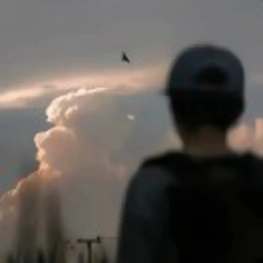 白茶清欢的头像