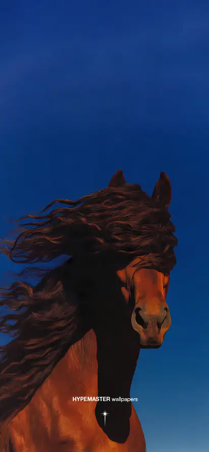 4k蓝天壁纸 - 马年 - 骏马 - 鬃毛「哲风壁纸」