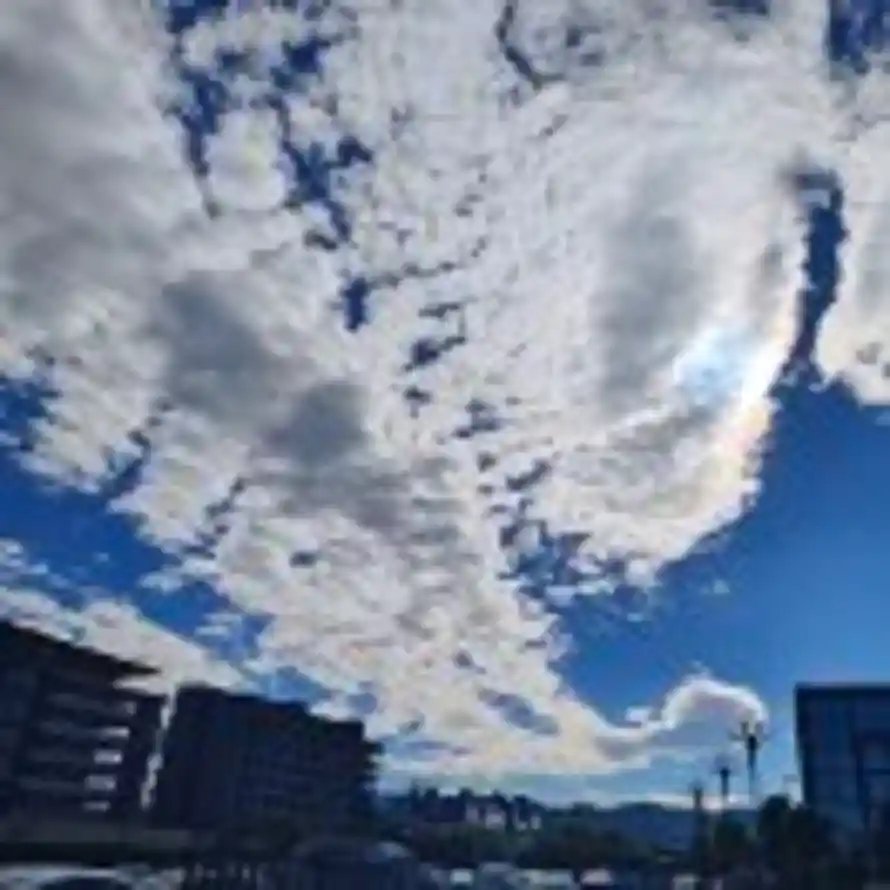 中正平和的头像