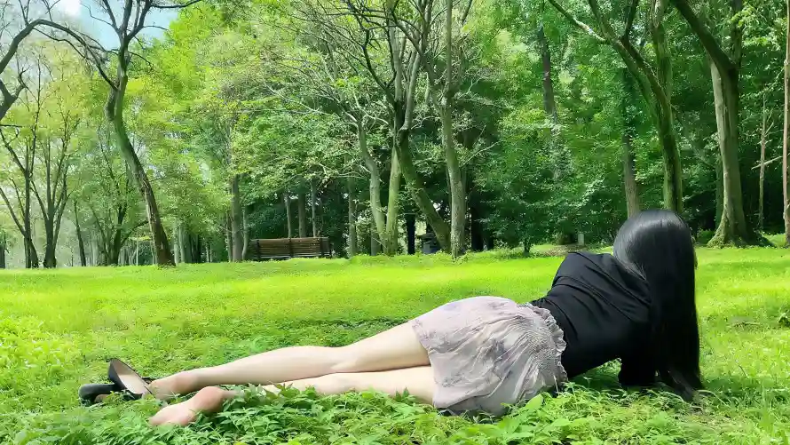 4k户外壁纸 - 树林 - 清新 - 绿色「哲风壁纸」