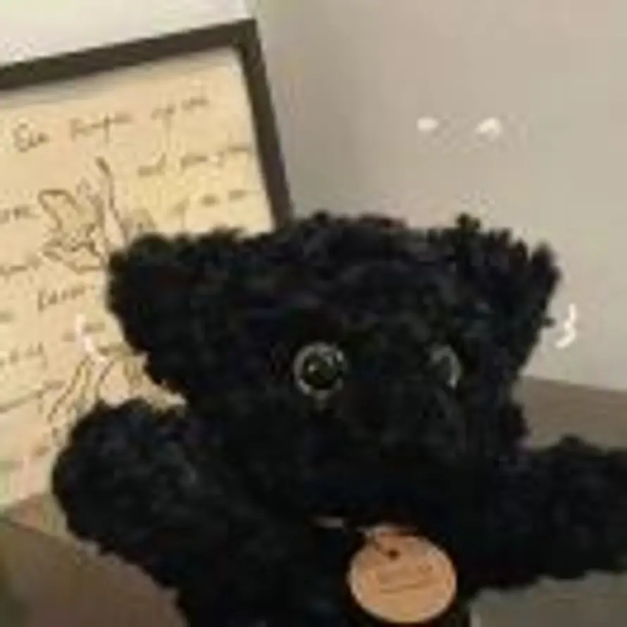 别处夕阳的头像