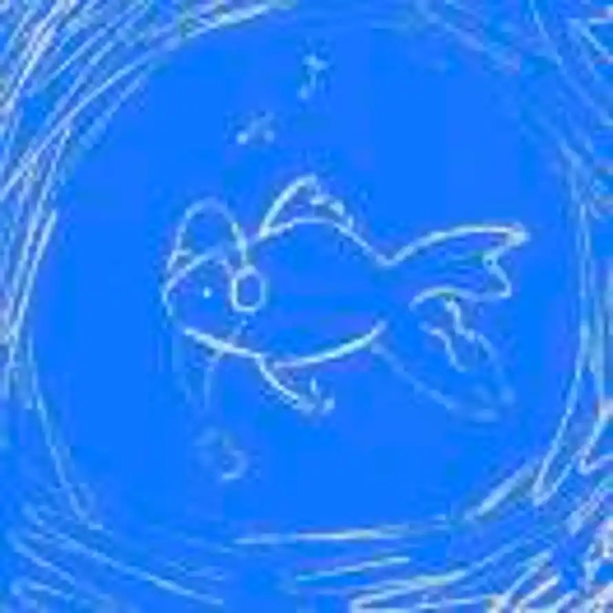 睡觉的时候不困的头像