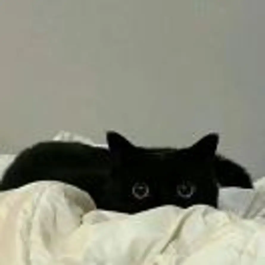 一只兔子的头像