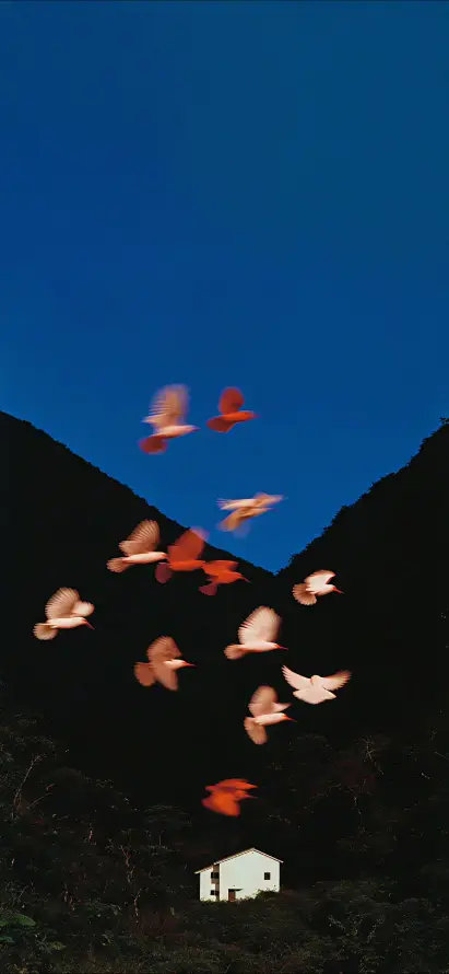 4k夜空壁纸 - 山峰 - 深海 - 红鸟「哲风壁纸」