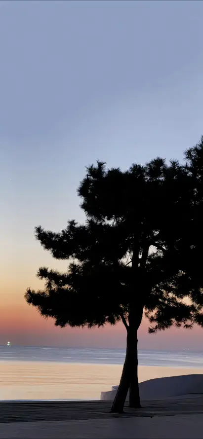 4k傍晚壁纸 - 剪影 - 天空 - 宁静「哲风壁纸」