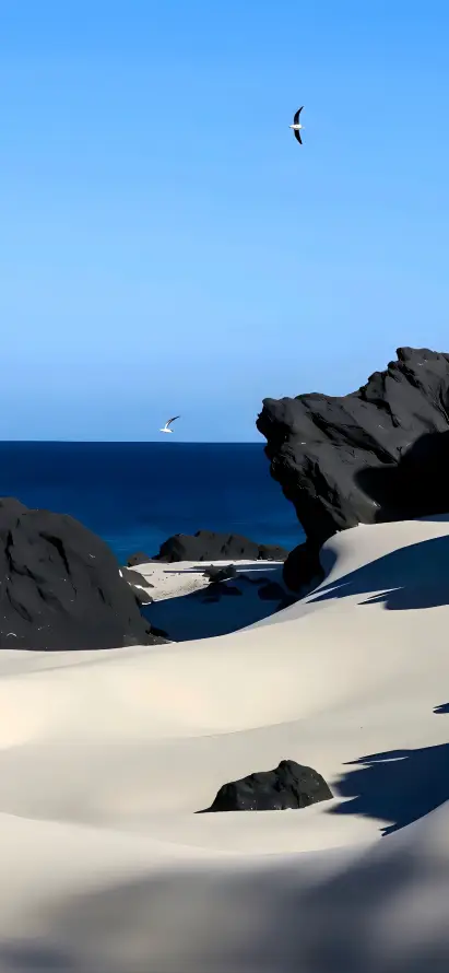 4k大海壁纸 - 岩石 - 晴空 - 沙子「哲风壁纸」