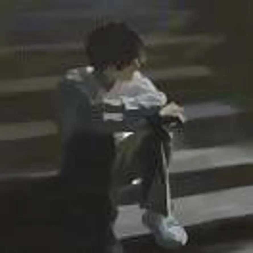 དཔལ་ལྡན་ཉི་ཟླ的头像