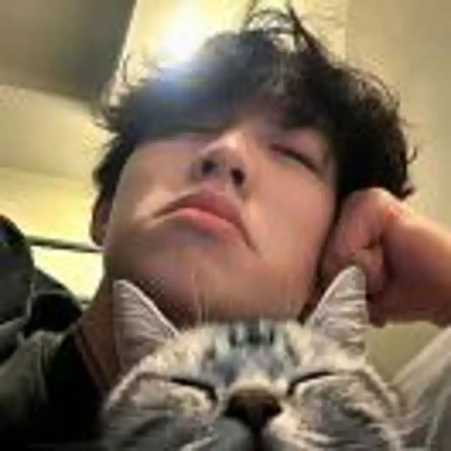 不爱喝汤的头像