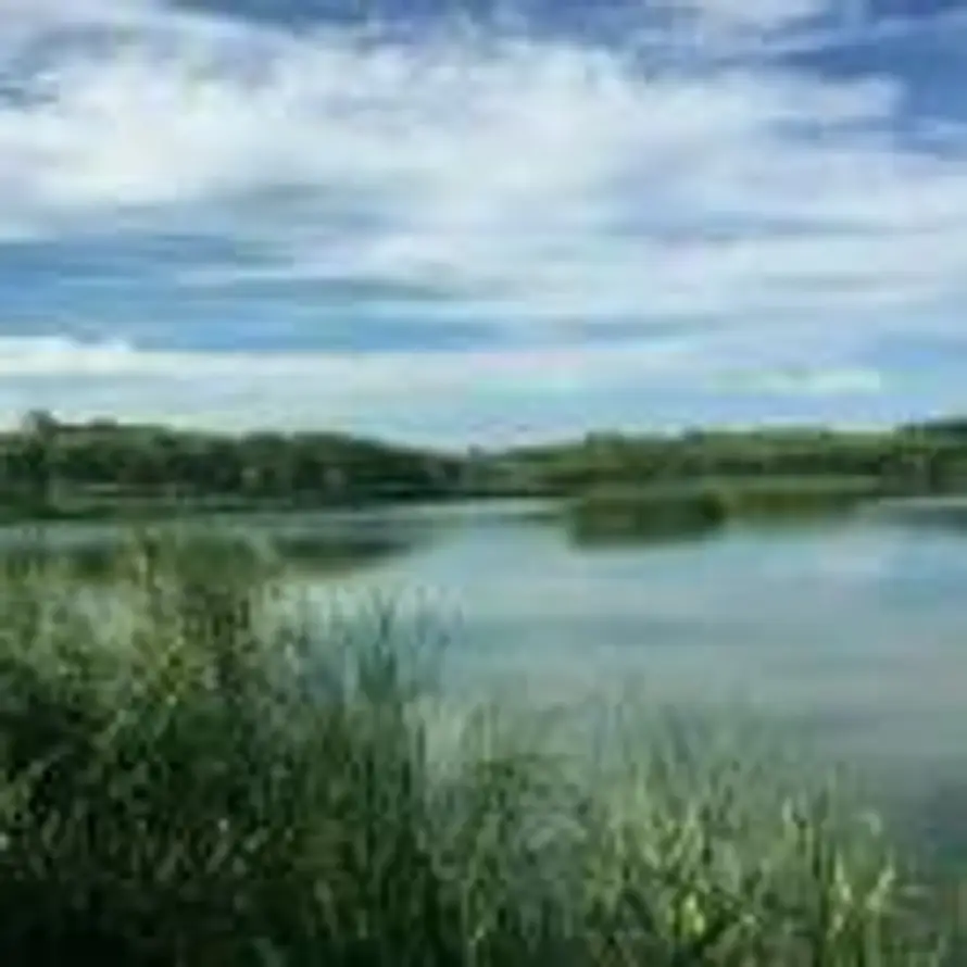 沸石分子筛-复榆新材料徐建梅的头像