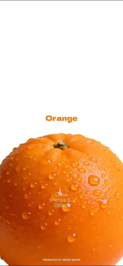 4k健康壁纸 - 新鲜 - 有机 - 果汁「哲风壁纸」