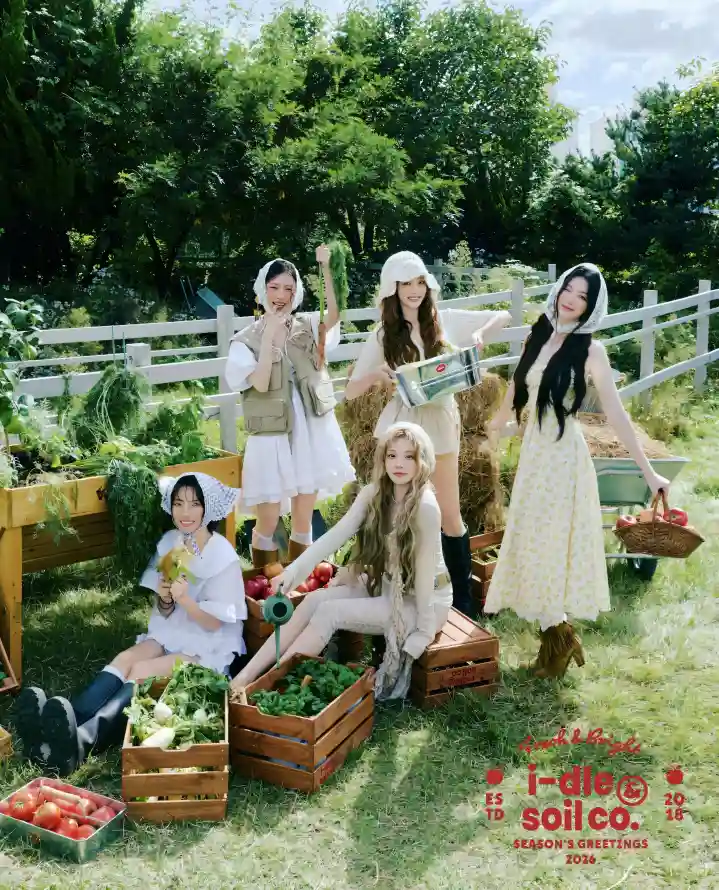 4k女孩壁纸 - 安逸 - 木箱 - 树木「哲风壁纸」