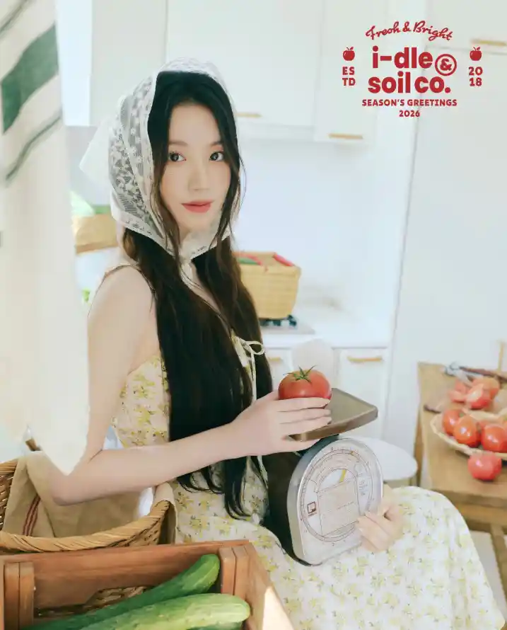 4k厨房壁纸 - 头巾 - 水果 - 清新「哲风壁纸」