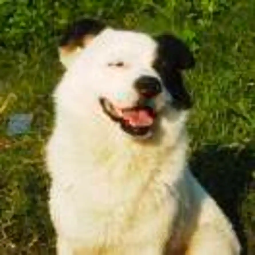 闲散人员的头像