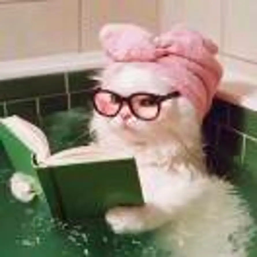 ꒰ঌ面儿໒꒱的头像