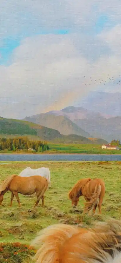 4k彩虹壁纸 - 房屋 - 树木 - 湖泊「哲风壁纸」