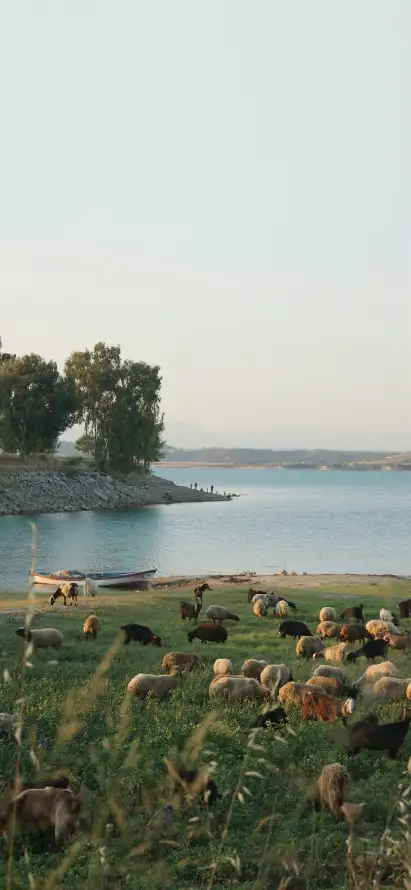 4k乡村壁纸 - 小船 - 树木 - 水域「哲风壁纸」