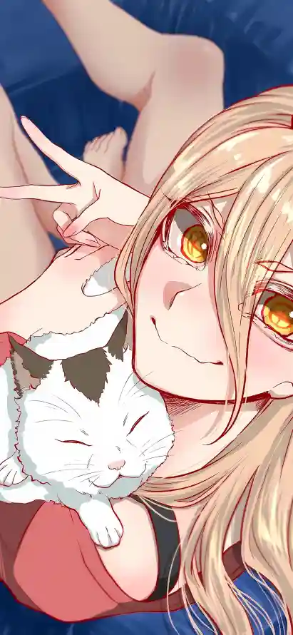 4k可爱壁纸 - 猫 - 宠物 - 帕瓦「哲风壁纸」