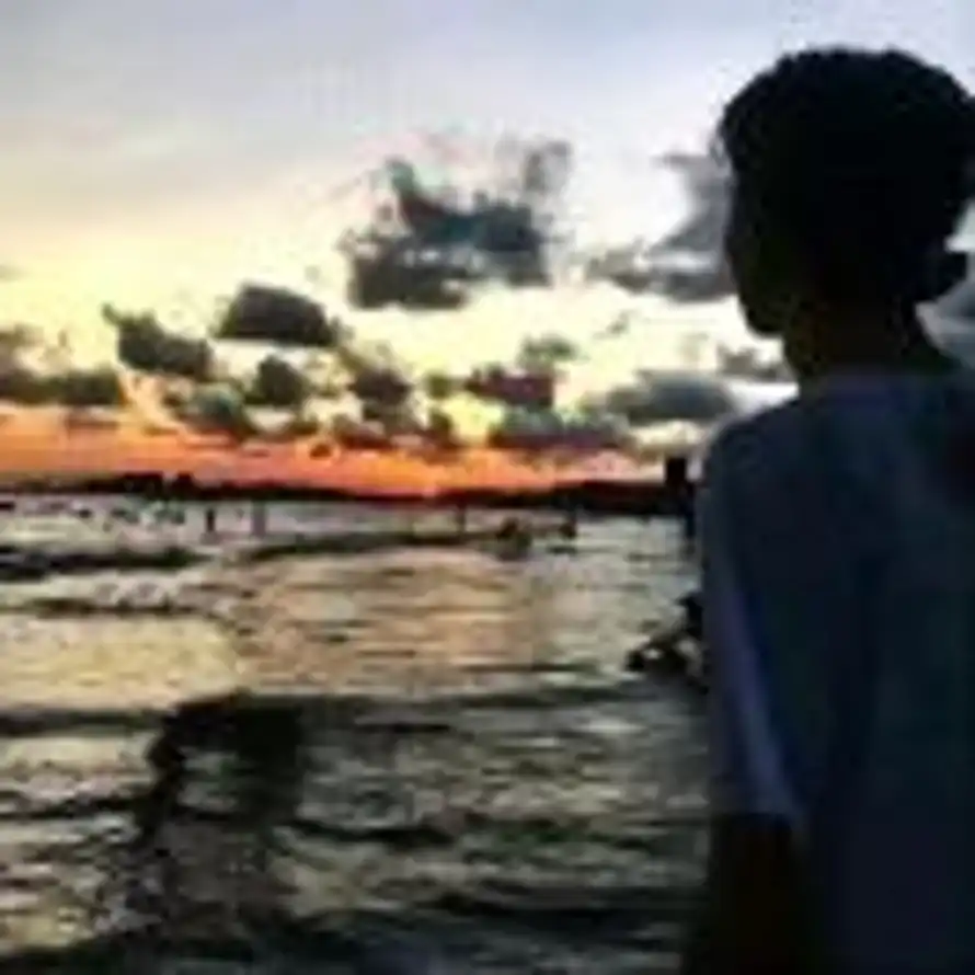 烟波游鱼的头像