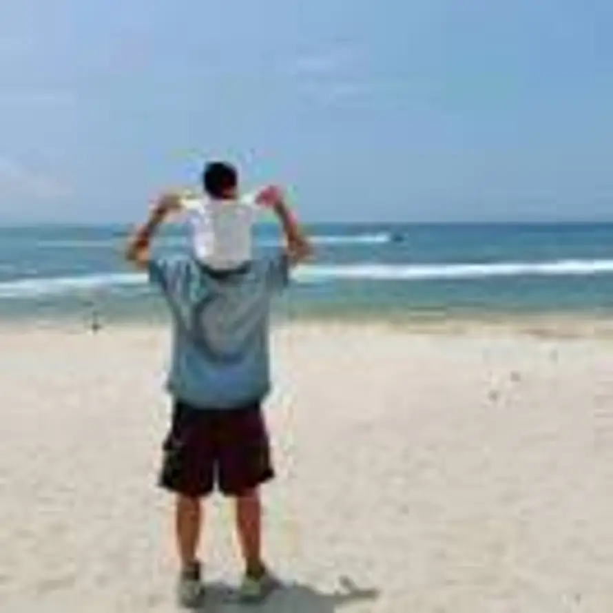 瞪蹬櫈燈墱镫的头像