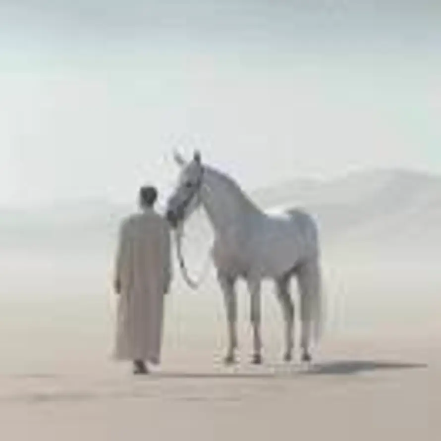 城南花已开的头像