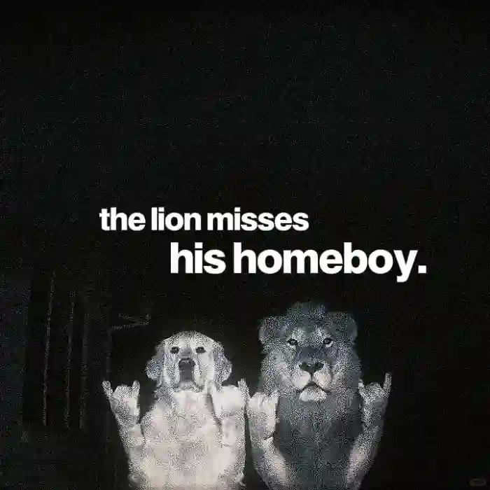 彭于晏Eason的头像