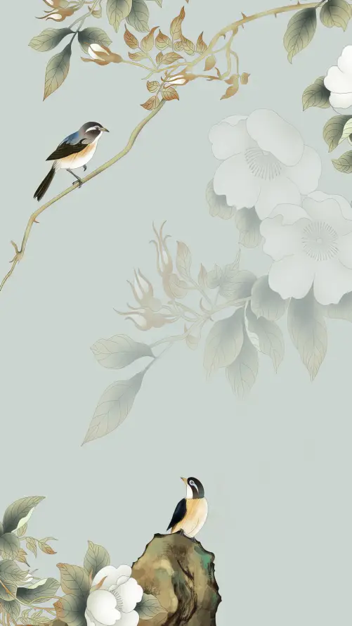 4k国风壁纸 - 花鸟 - 白牡丹 - 花鸟图「哲风壁纸」