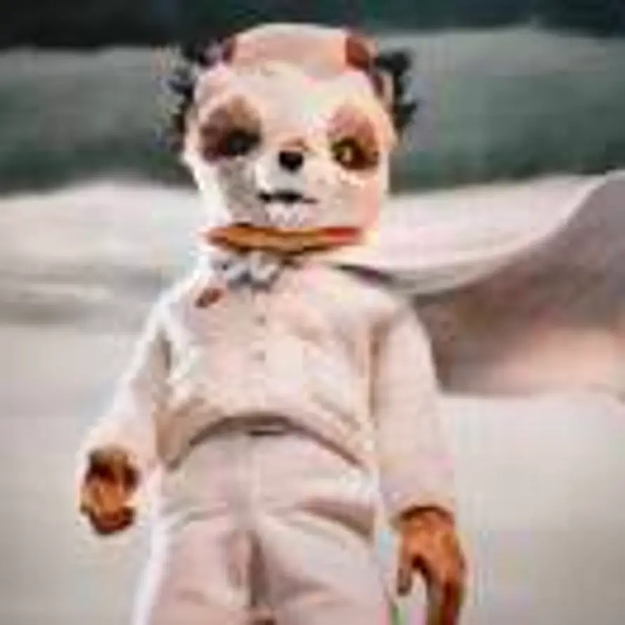 夏天花谢了的头像